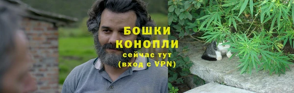 PSILOCYBIN Куйбышев