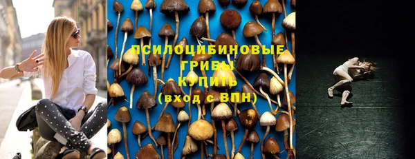 PSILOCYBIN Куйбышев