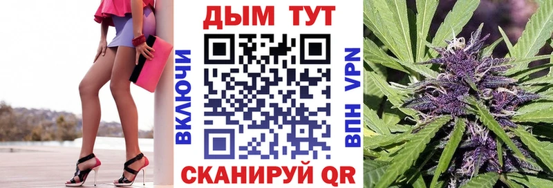 Каннабис семена  наркотики  Нелидово 